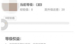 91直播等级,解锁直播新境界