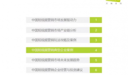 短视频营销论文,创新策略与市场效应分析